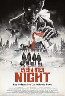 Ночь вечной зимы